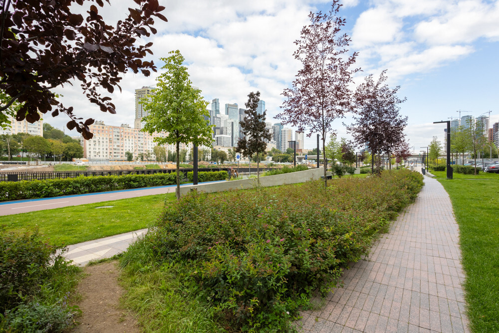 коммерция 2167499
