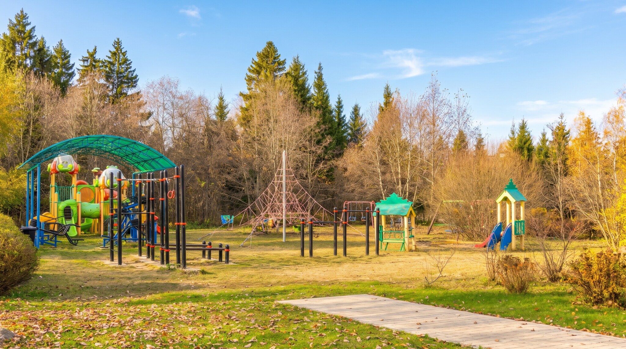 Много деревьев